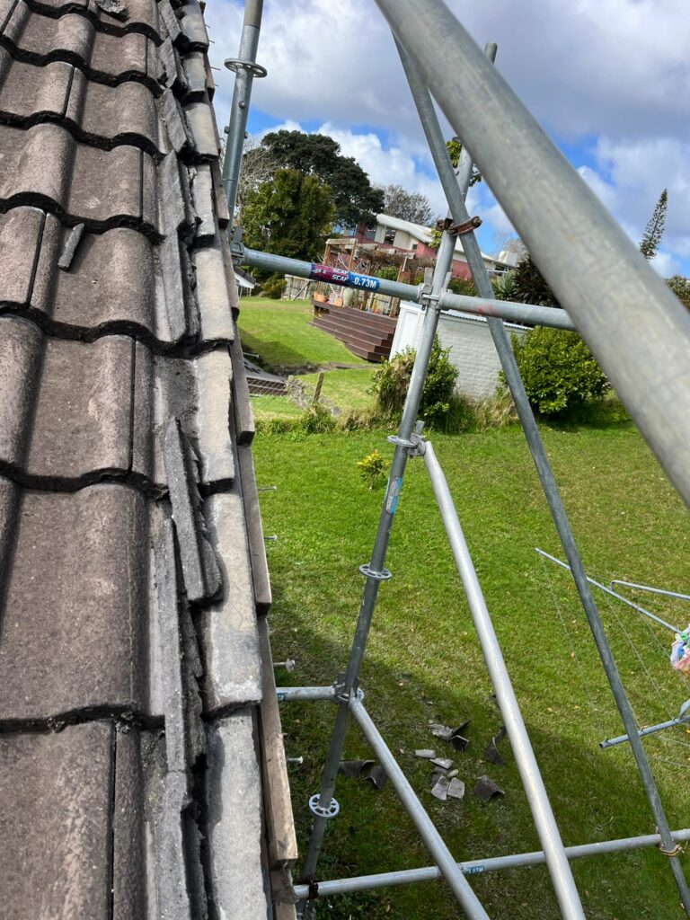 grandscale_construction_renovation_ (137)